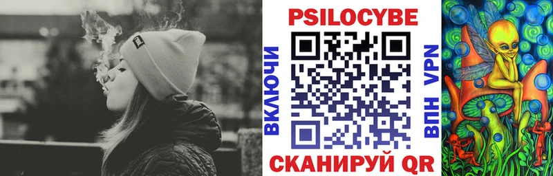 Купить закладки  Знаменск  Псилоцибиновые грибы Cubensis 